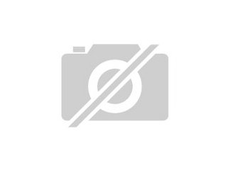Suche Mäuse aller Arten auch gerne von weit